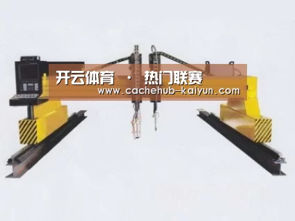 产品名称十七