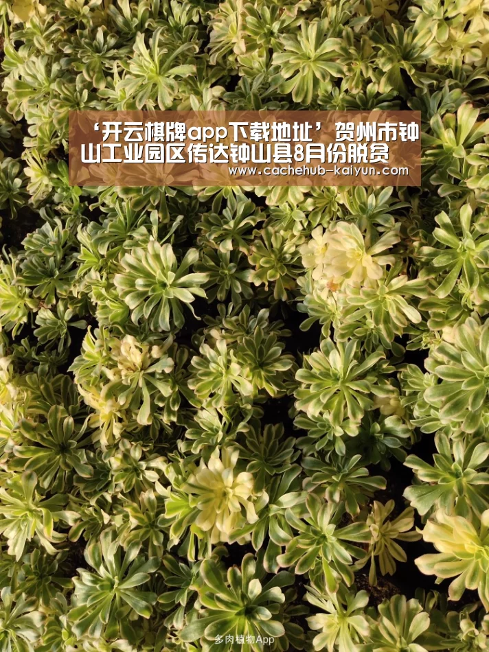 开云棋牌app下载地址