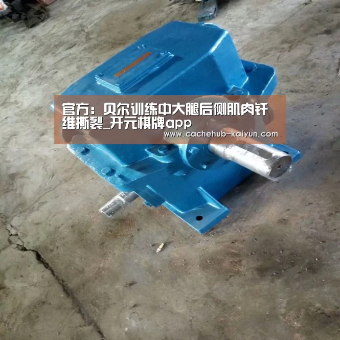 官方：贝尔训练中大腿后侧肌肉纤维撕裂_开