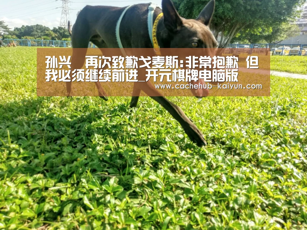 孙兴慜再次致歉戈麦斯:非常抱歉 但我必须
